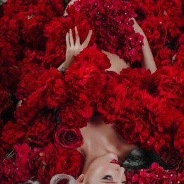 Шлюха Елена 26058