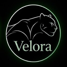 Шлюха Velora 71802